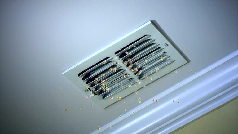 Best Air Duct Sanitizing Services  in Lansdowne, PA